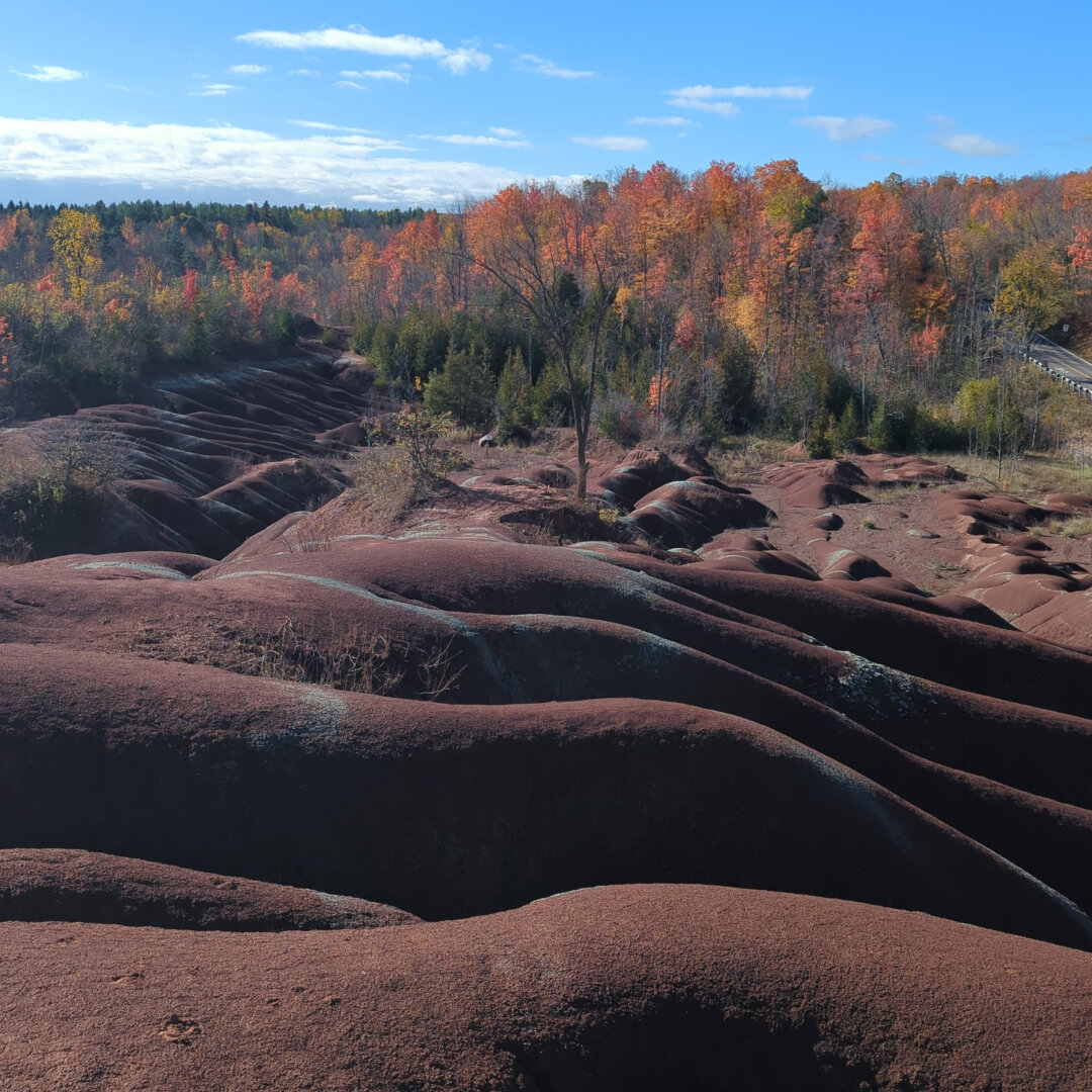 Undulating hills that look like large, tubular protrusions from under the ground. This is the Queenston Formation which is characterized by its brick-red to maroon shales which are interlaced with smaller amounts of green shale, sandstone, and limestone. Blue sky and a fall colour tree line is visible at the top of the picture.
