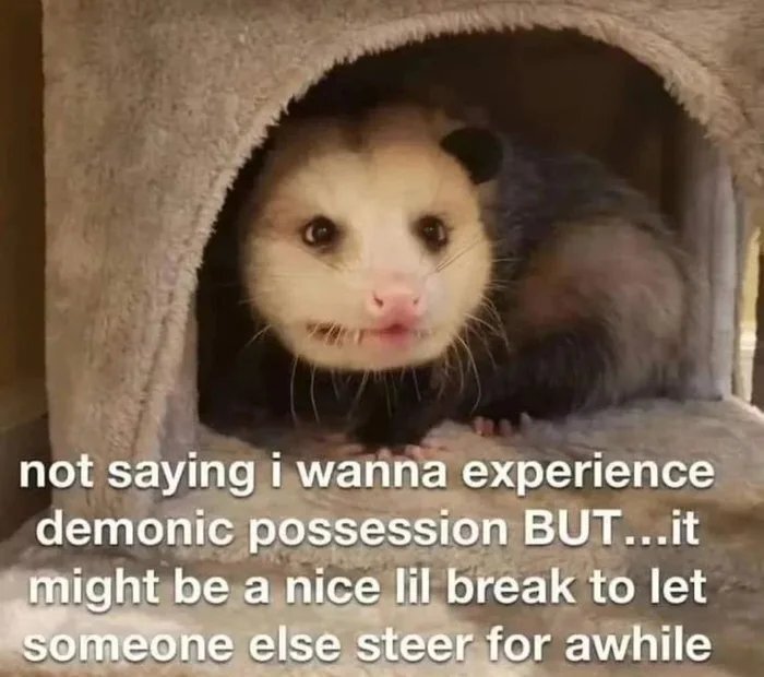 An opossum who would like to experience demonic possession once in a while and let someone else steer