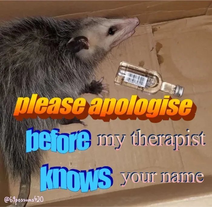 An opossum with a bottle of strong alcohol asking you to apologise before his therapist knows your name