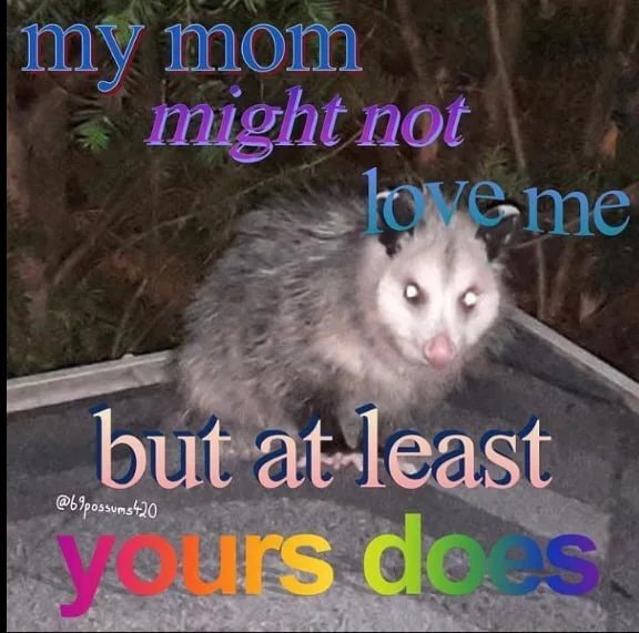 An opossum whose mom doesn't love, but yours does