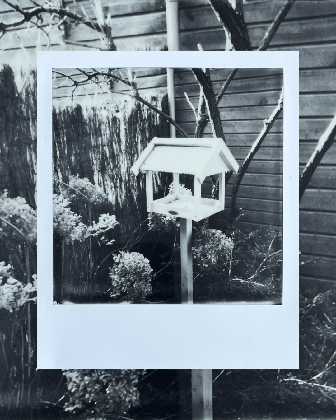 A black and white polaroid photo of a bird feeder on a standard in front of some bushes. Around the white border of the polaroid is a border with the same image as the photo itself.