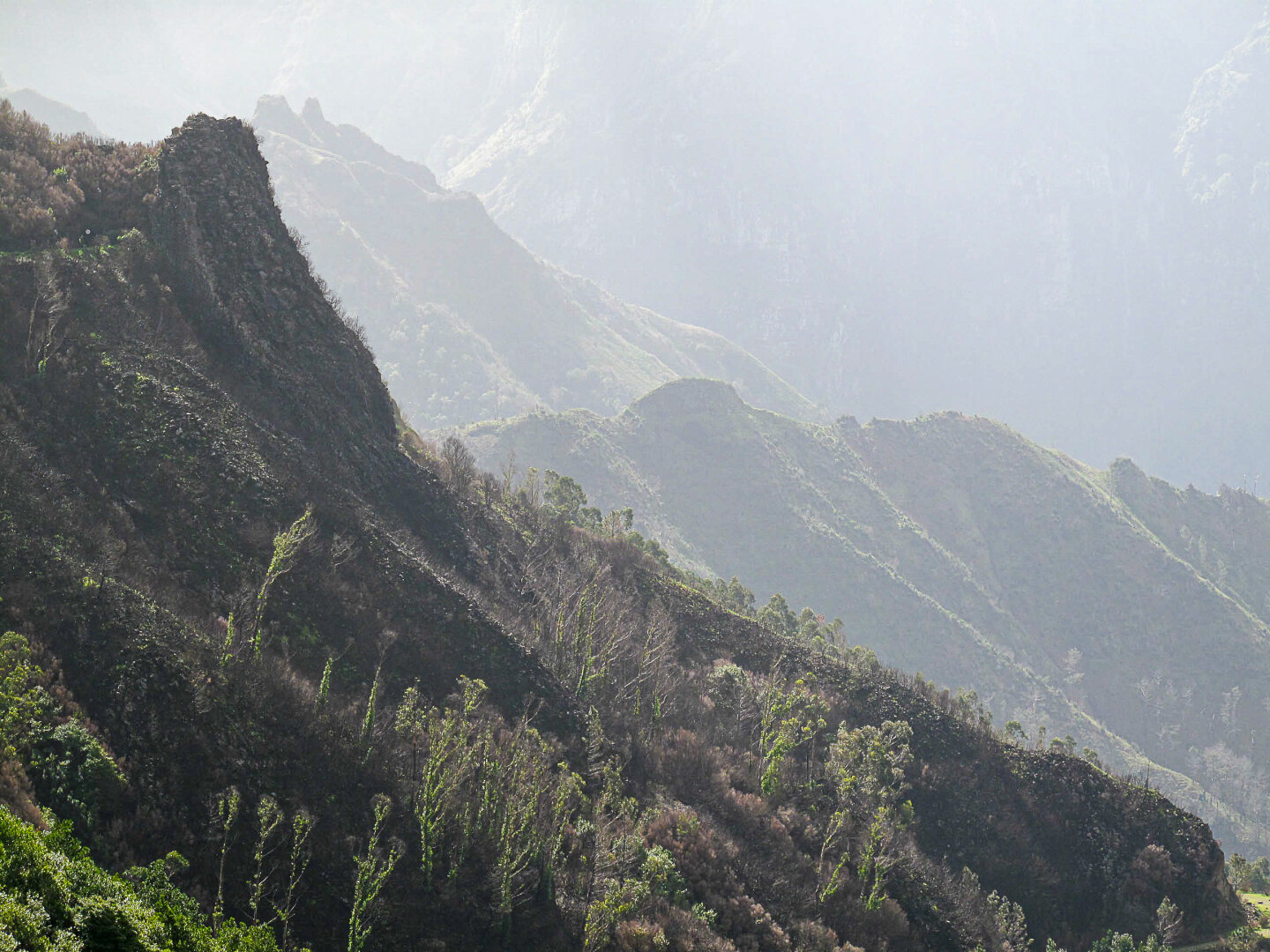Layered mountain ridges in Madeira, Portugal, softly illuminated by early morning sunlight and mist, with rugged slopes and sparse green vegetation fading into a hazy background.