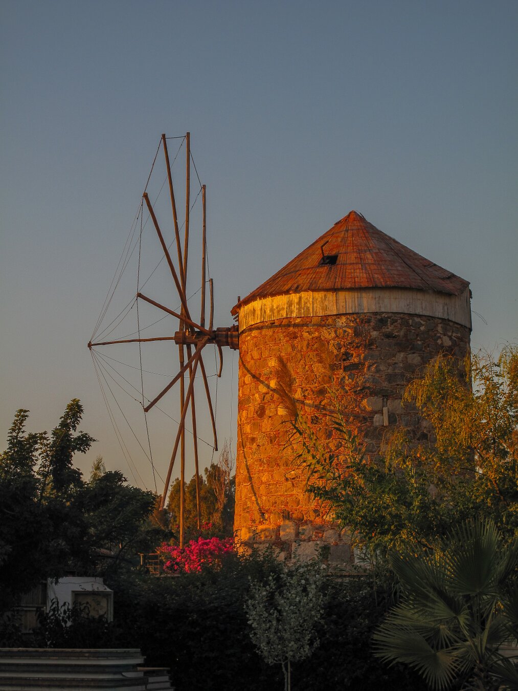 Old stone windmill on Kos Island, Greece, bathed in the orange glow of dawn. The cylindrical tower with a conical roof catches warm sunlight, surrounded by lush greenery and pink bougainvillea under a clear sky.