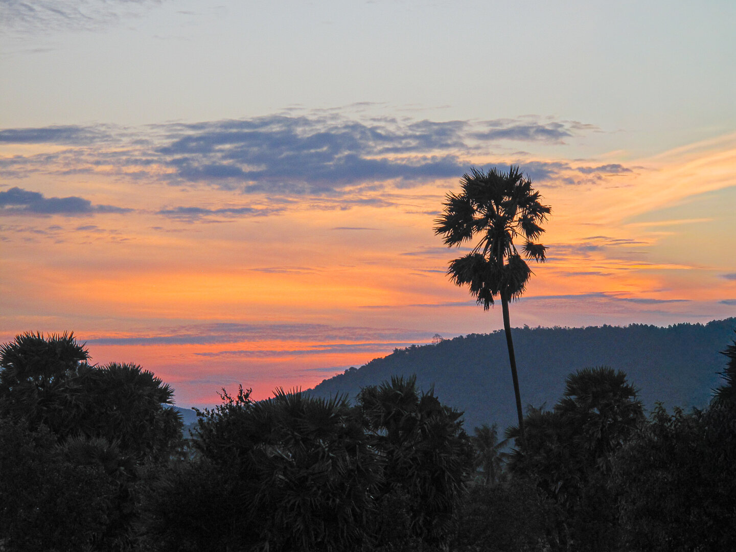 Sunset view from Aleenta, Pranburi, Thailand, with a tall palm tree silhouetted against a vivid sky of orange, pink, and blue hues. Soft clouds streak across the horizon above a dark hillside and tropical foliage, creating a tranquil tropical evening scene.