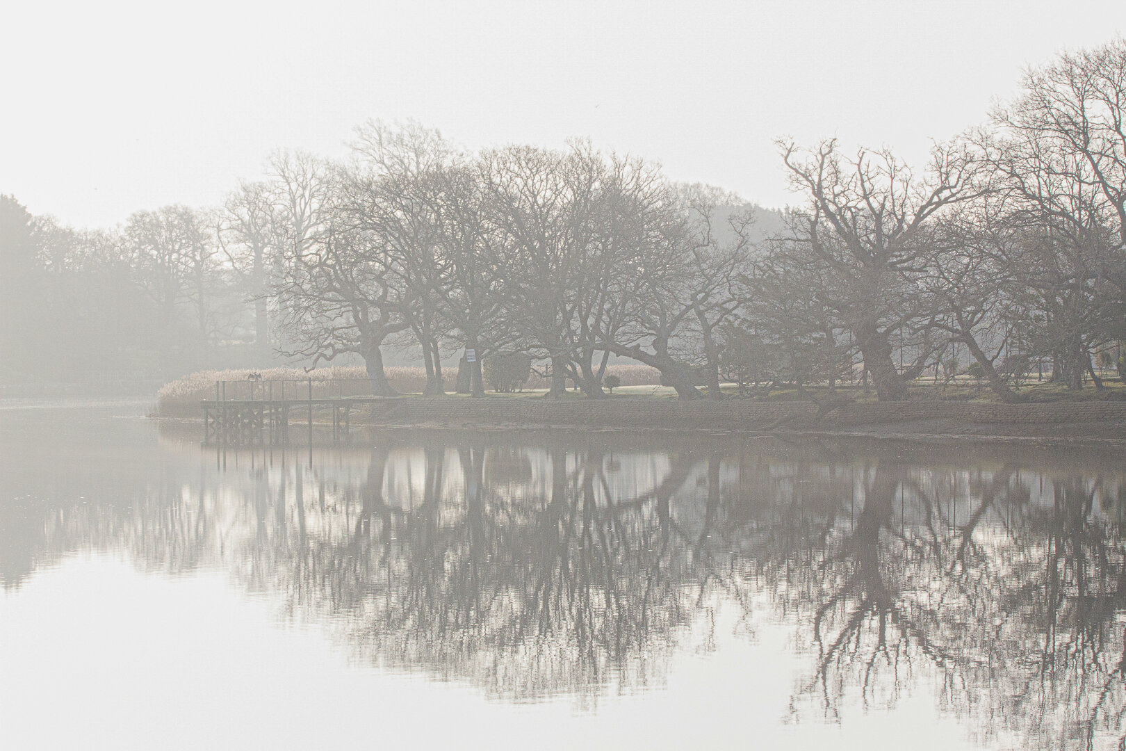 Leafless trees along the edge of a still lake in Beaulieu, Hampshire, are reflected almost perfectly in the calm water on a misty morning. Soft fog mutes the landscape into pale grey tones, while a small wooden jetty and reeds on the shoreline add delicate detail to the tranquil winter scene.