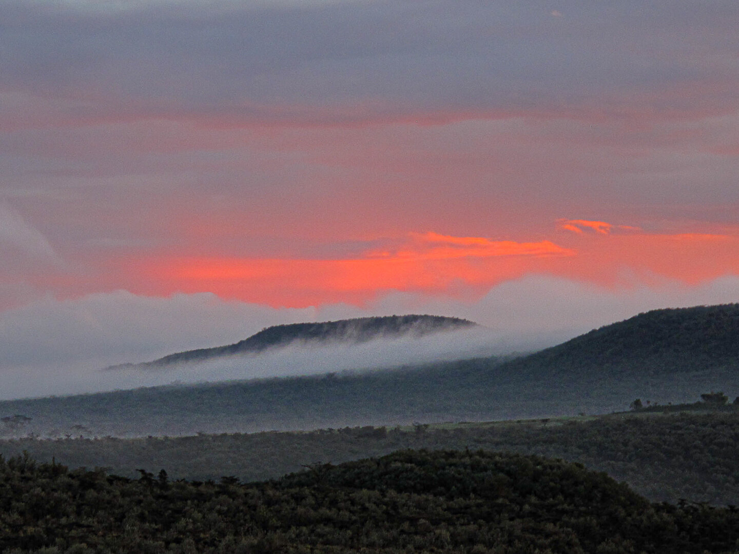 Dawn clouds and low-lying mist drift across rolling hills above Naivasha, Kenya. Dark, tree-covered ridges stretch across the foreground and middle distance, while ribbons of white fog settle in the valleys and cling to the slopes. Above the hills, a broad band of vivid pink and orange sunrise light glows beneath layers of grey-blue cloud, creating a striking contrast between the luminous sky and the shadowed landscape. The scene is quiet and expansive, with mist softening the contours of the hills and adding depth to the early morning view.