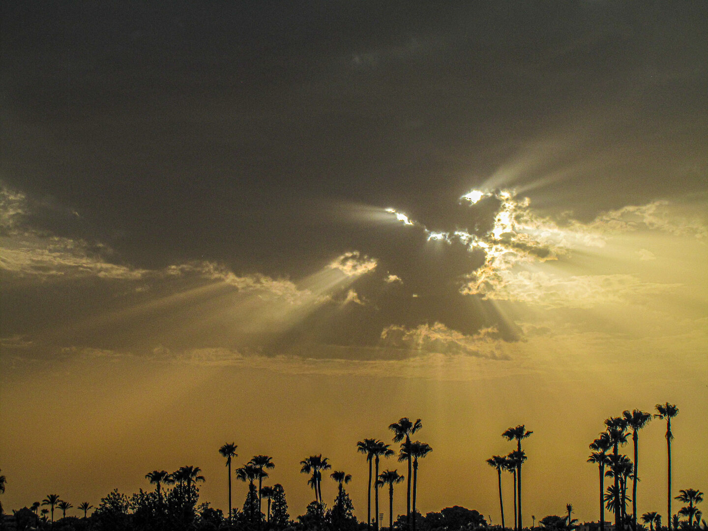 Dark storm clouds hang over Marrakech at sunset, with bright rays of sunlight streaming through gaps in the clouds and illuminating the hazy golden sky below. A line of tall palm trees stands in silhouette along the horizon, creating a dramatic contrast against the glowing evening light.