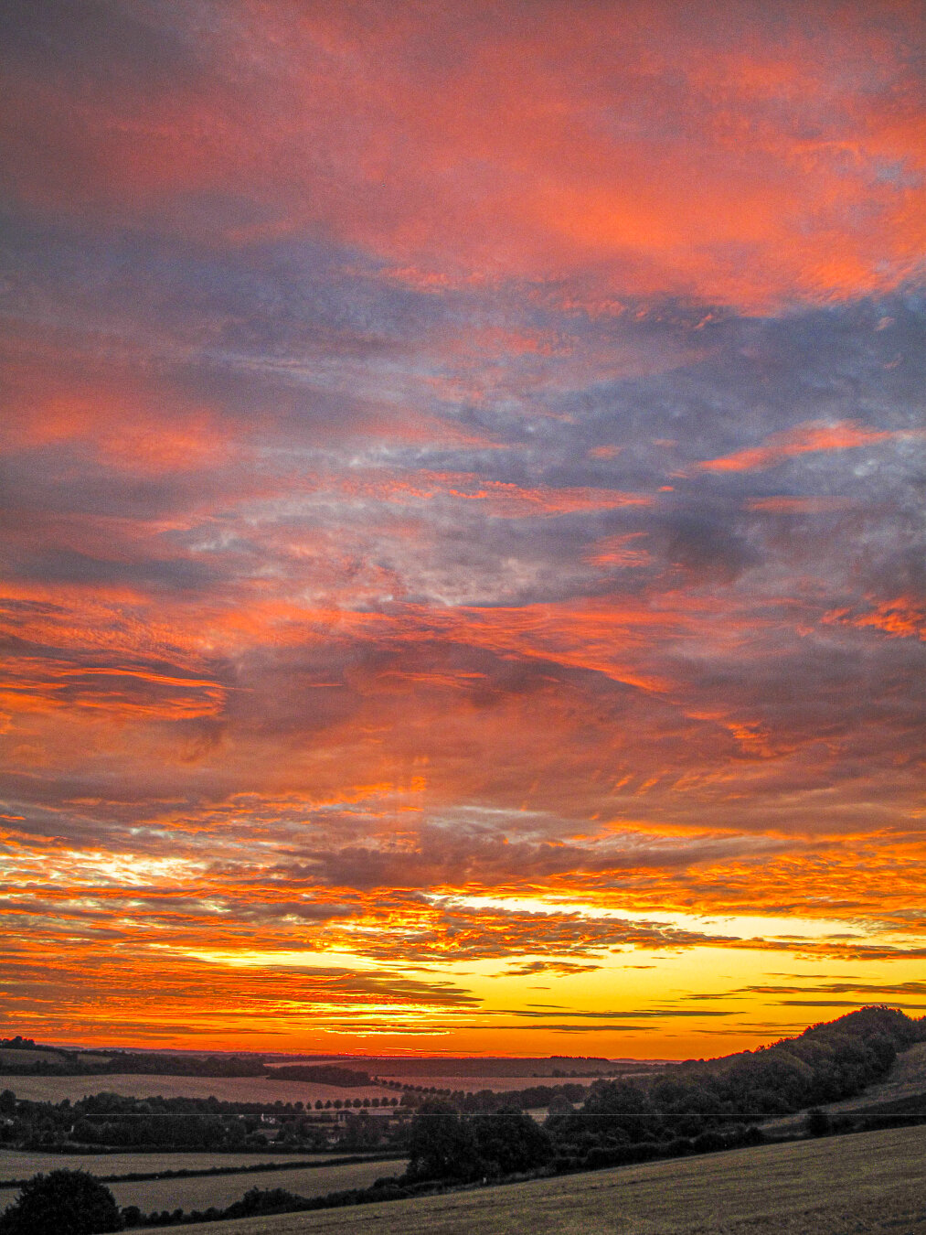 Spectacular sunrise over the South Downs. A patchwork of fields, hedgerows and tree-lined hills stretches across the foreground, while the sky dominates the scene with sweeping layers of pink, mauve, orange and golden clouds. Bright light glows along the horizon, illuminating the clouds and creating a vivid contrast with the dark countryside below.
