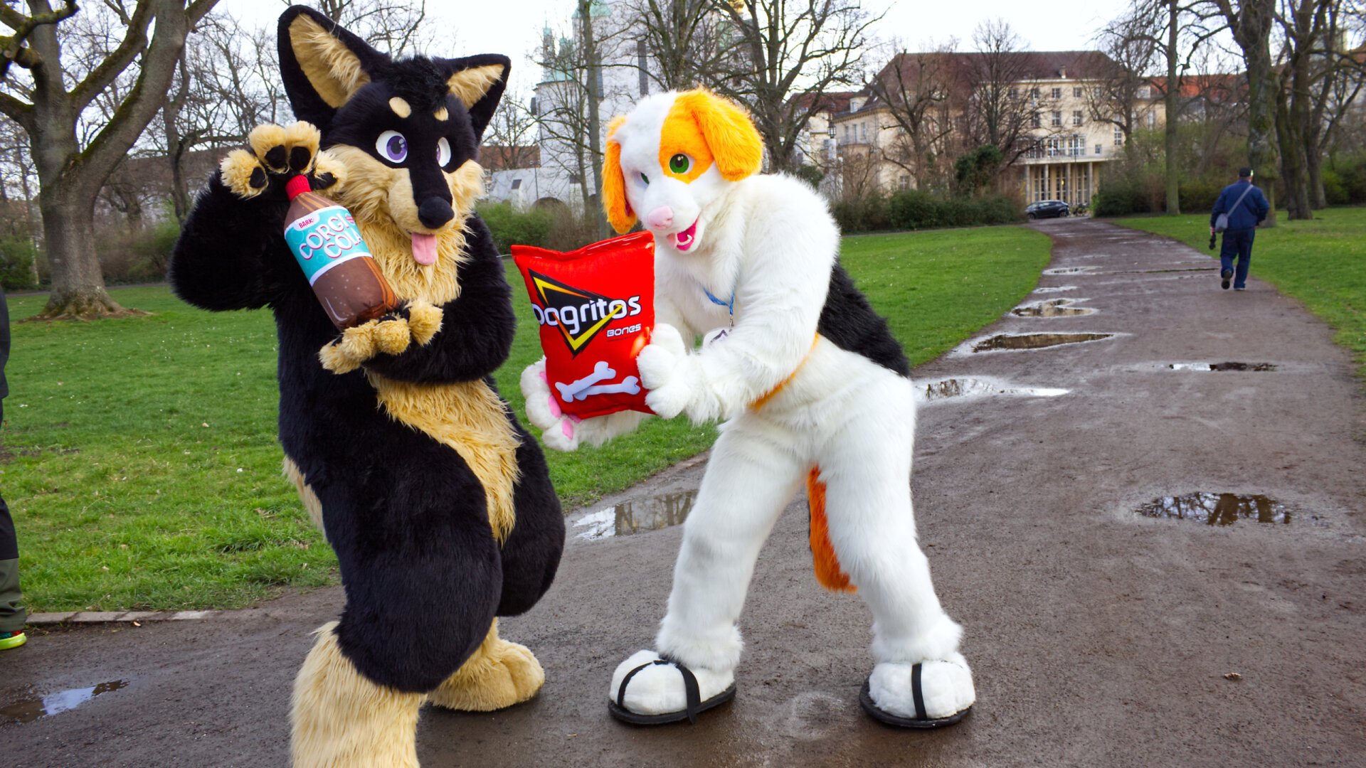 Ad-Dogs (Fursuit) in the Park