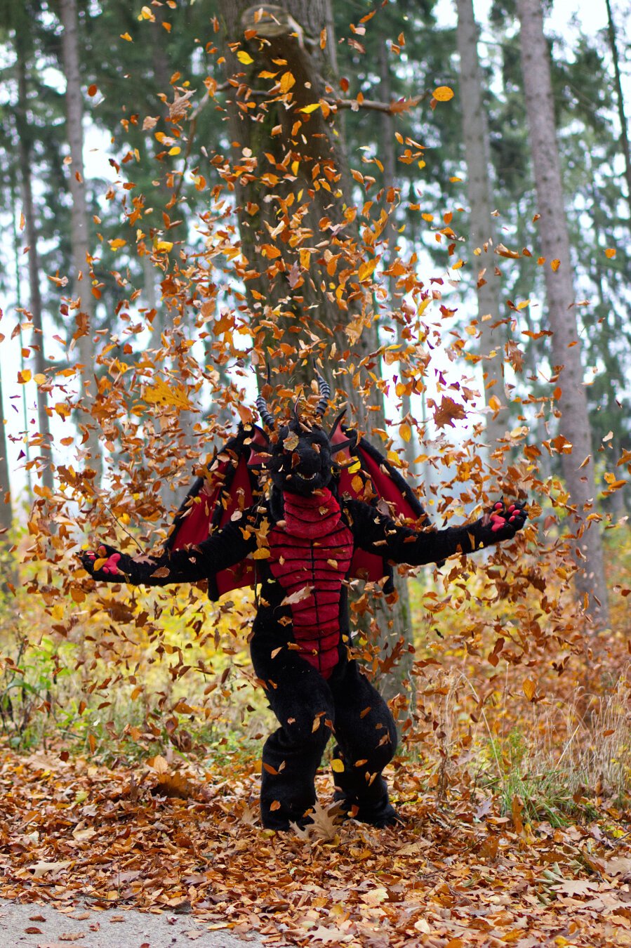 Dragon in the leaves in autumn