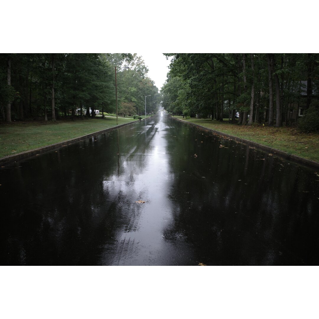 The street in front of our house, glossy with rain in the evening, and still wet but not shiny the following morning.