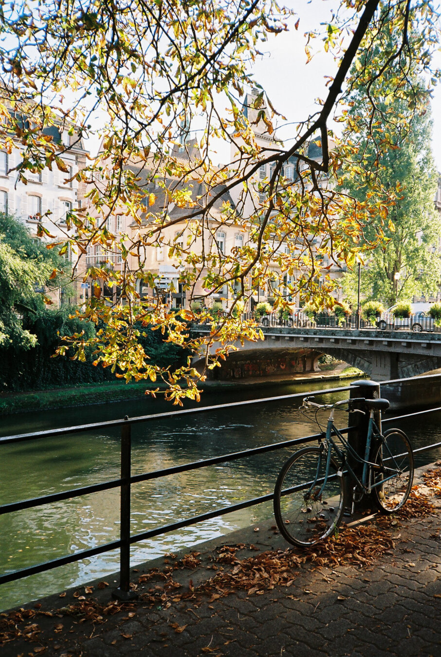 Golden hour film photo of an old bicycle leaning against a metal railing next to the Canal du Faux-Rempart in Strasbourg, France. The canal and buildings in the background are softly lit by warm evening light. Taken on Kodak Gold 200 using an Olympus XA.