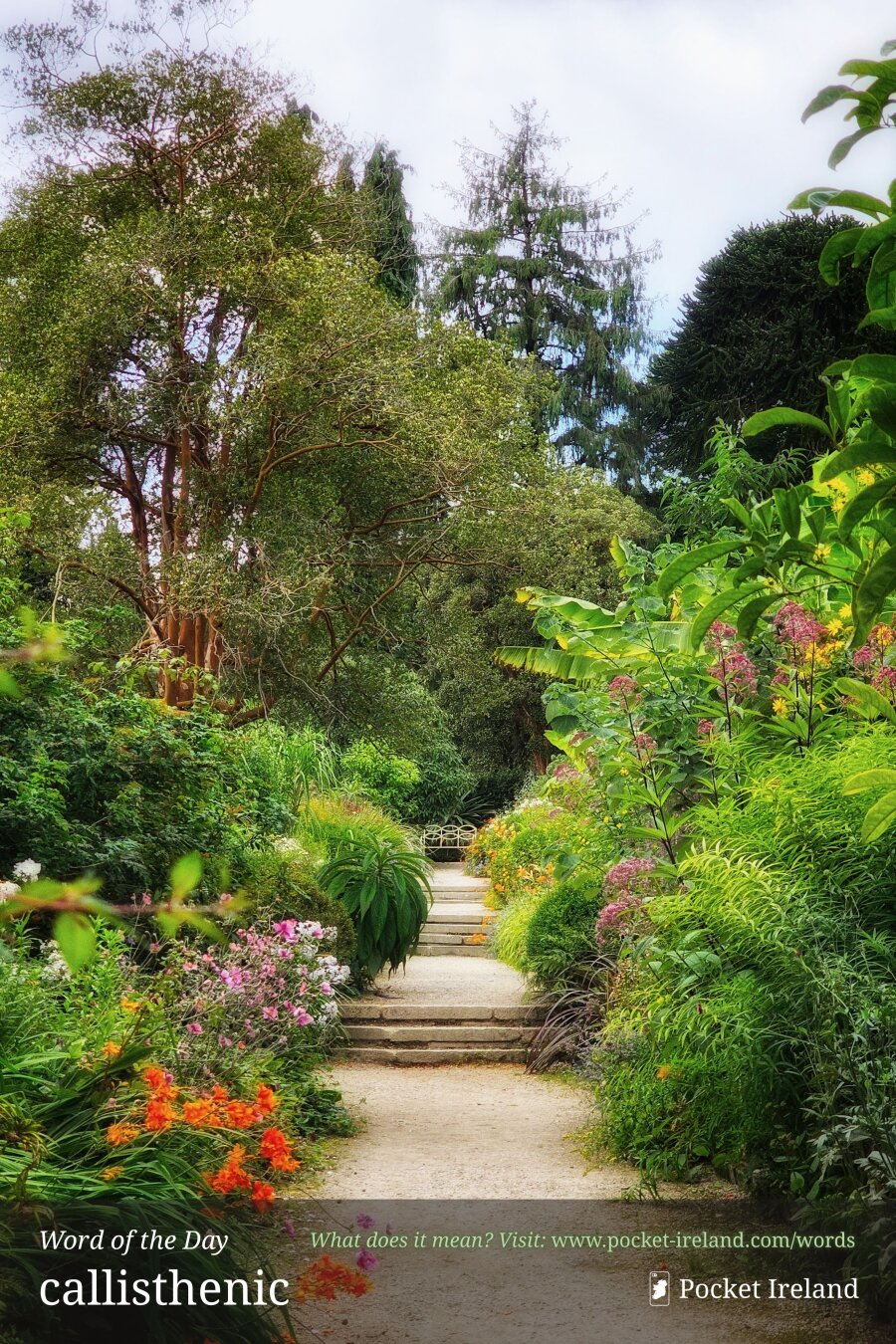 A gently curving gravel path ascends via low stone steps through a lush, vibrant garden. Vivid orange crocosmia, delicate pink blossoms, and dense ferns border the walkway, leading the eye toward a distant, ornate garden bench sheltered beneath tall, layered canopies of broadleaf trees, evergreens, and exotic banana foliage under a soft, overcast sky.