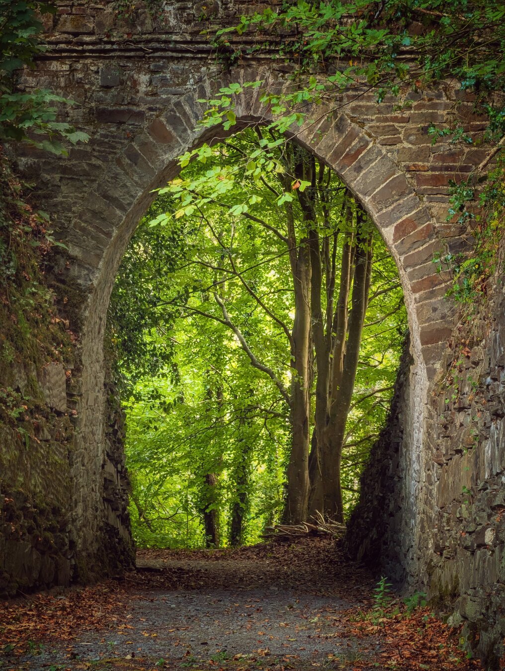 A vertical eye-level view through a tall, rustic stone archway. The dark, weathered masonry forms a natural frame around a sunlit woodland clearing. In the centre of the opening, a slender beech tree rises among lush green leaves illuminated by bright daylight. A gravel and dirt trail scattered with brown leaves runs from the cool shade of the foreground through the arch toward the bright trees beyond. The scene feels peaceful, secluded, and atmospheric.