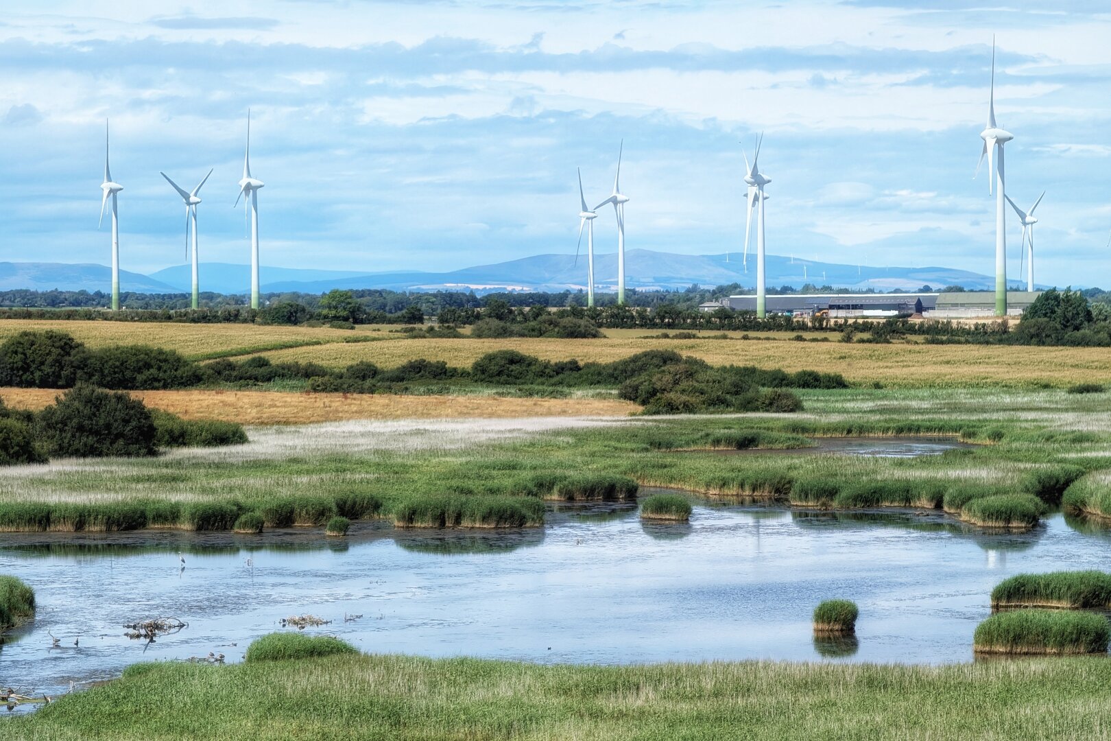 A wide landscape view from an elevated dune looking across a tranquil coastal wetland. In the foreground, shallow pools of blue water reflect the cloud-filled sky, interspersed with bright green islands of reeds and marsh grass. A small heron stands in the water on the lower left. In the background, green fields stretch towards a row of large, white three-bladed wind turbines, set against soft blue mountains under a daylight sky. The atmosphere is open, bright, and calm.