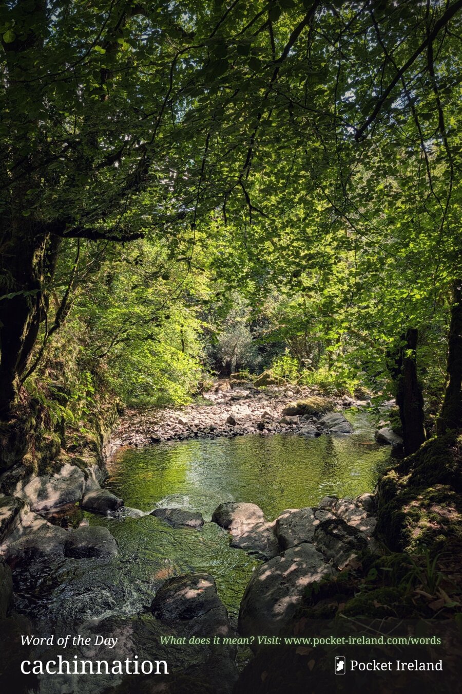 A sunlit, rocky stream flows through a lush, shaded woodland. Bright green foliage forms an overhanging canopy above, casting dappled shadows onto the moss-covered boulders and deep, still pool below. In the foreground, white-frothed water rushes over dark stones, leading to a calm olive-tinted basin framed by sunlit banks and dense trees.