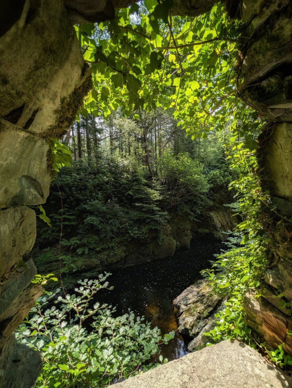 A view looking out from inside a dark, ancient stone archway covered in green ivy leaves. Sunlight filters through a dense canopy of bright green foliage at the top of the frame, casting a soft glow over the scene. Below, a dark forest river flows between rocky, tree-lined banks and mossy stone outcrops. Dense woodland fills the background with lush green trees reaching towards the light. The overall mood is atmospheric, cool, and peaceful, with rich natural textures of rough stone and vibrant summer leaves framing the water.