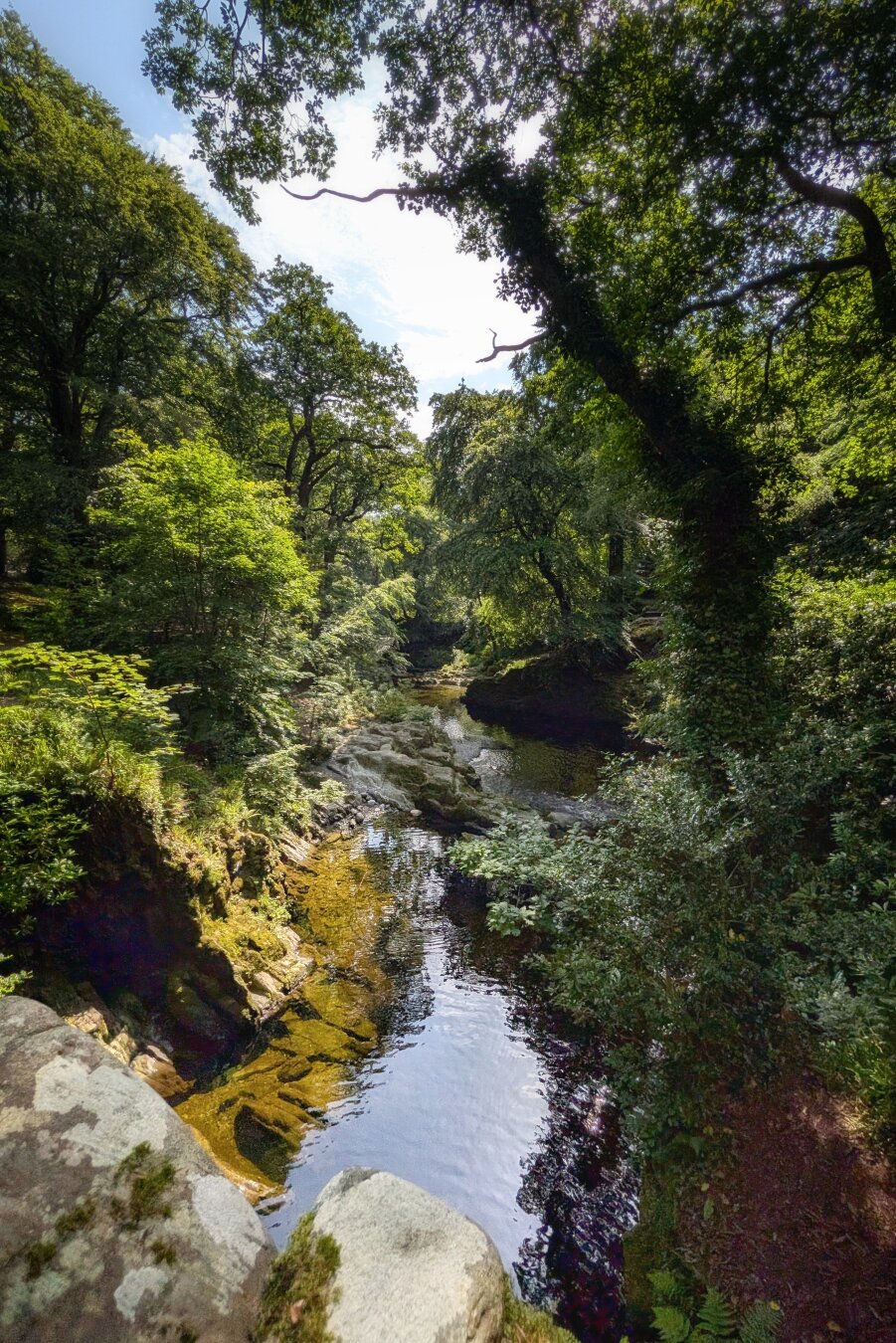 A vertical eye-level view looking down from a stone bridge onto a clear, shallow woodland river. Sunlight breaks through a dense green tree canopy, casting bright reflections across the dark, amber-tinted water and smooth submerged rocks. Rich green foliage, ivy-covered tree trunks, and ferns line both steep riverbanks, creating a cool, shaded forest atmosphere.