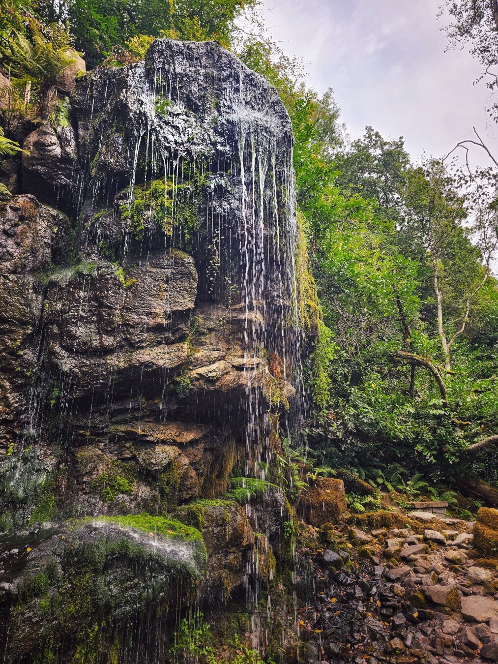 A vertical eye-level photograph of a rocky woodland waterfall. Streams of clear water cascade over dark, angular boulders covered in thick green moss and small clinging ferns. Lush deciduous trees with green leaves frame the upper background beneath an overcast sky, while a dry, stony path littered with brown leaves and small rocks sits at the base of the rock face. The atmosphere is damp, quiet, and shaded.