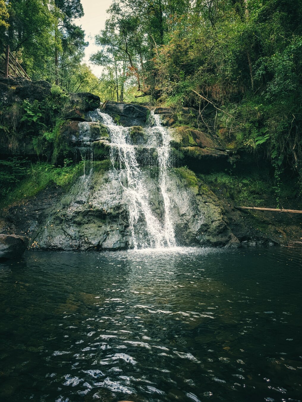 A cascading waterfall flows over tiered, moss-covered dark rocks into a deep, clear forest pool in the foreground. Sunlight filters softly through a dense canopy of lush green trees above, catching the bright white spray of the falling water. The atmosphere is secluded, peaceful, and rich with earthy, natural tones.