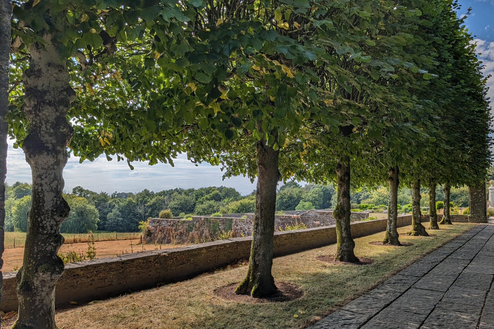 A sunny eye-level view along a paved stone terrace walk bordered by a low rustic stone retaining wall. A neat line of mature, broad-canopied green trees runs down the right side of the path, casting soft dappled shade across the dry grass verge. In the background, rolling green fields, distant hedgerows, and dense woodlands stretch beneath a pale blue sky dotted with light wispy clouds.