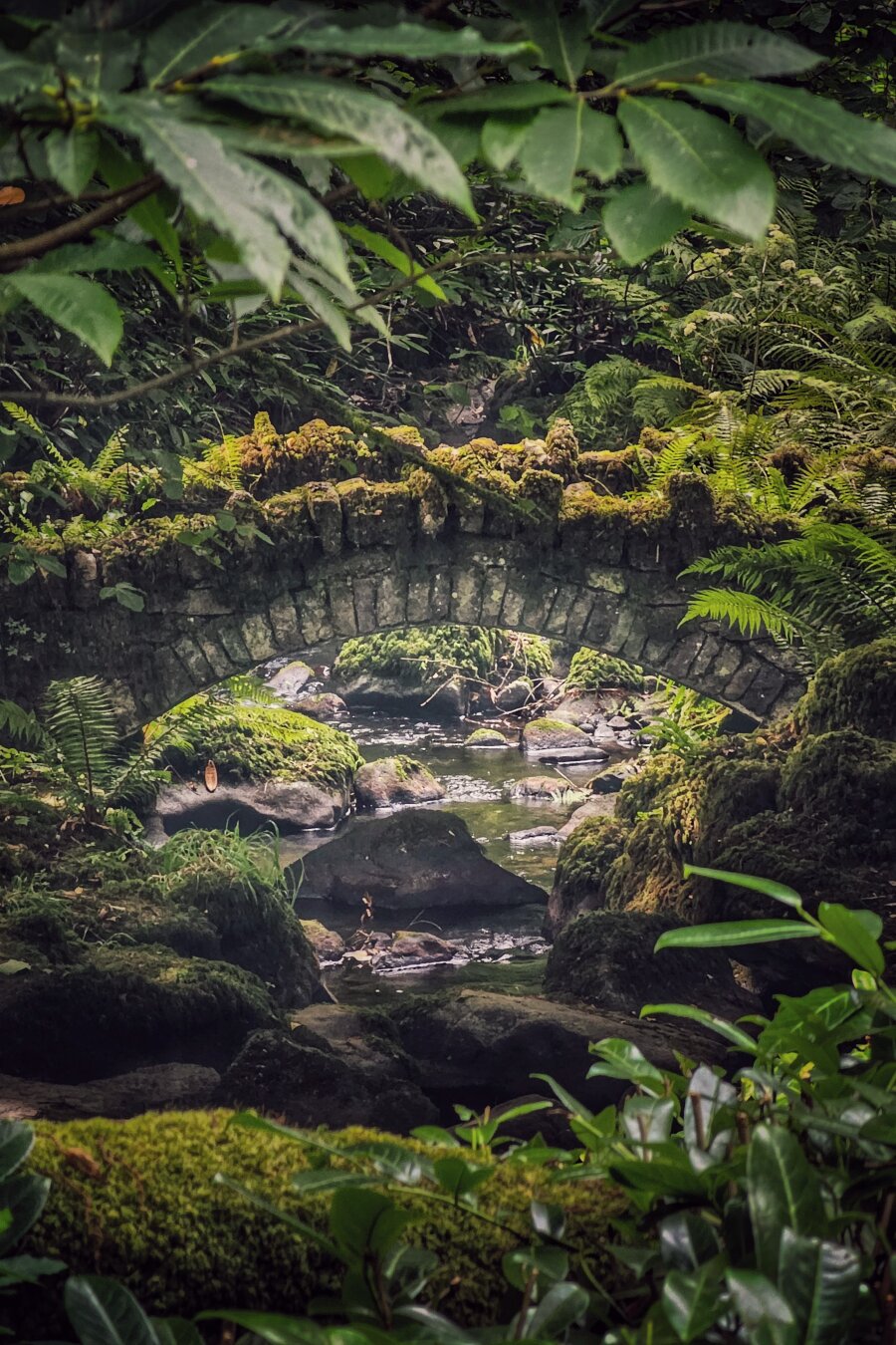 A weathered stone arch bridge covered in thick green moss frames a shallow, rocky stream in a shaded woodland. Dappled sunlight filters through an overarching canopy of leaves and lush ferns, illuminating the clear, slow-moving water and dark boulders beneath the arch. Rich green foliage frames the foreground, creating a secluded, tranquil atmosphere.