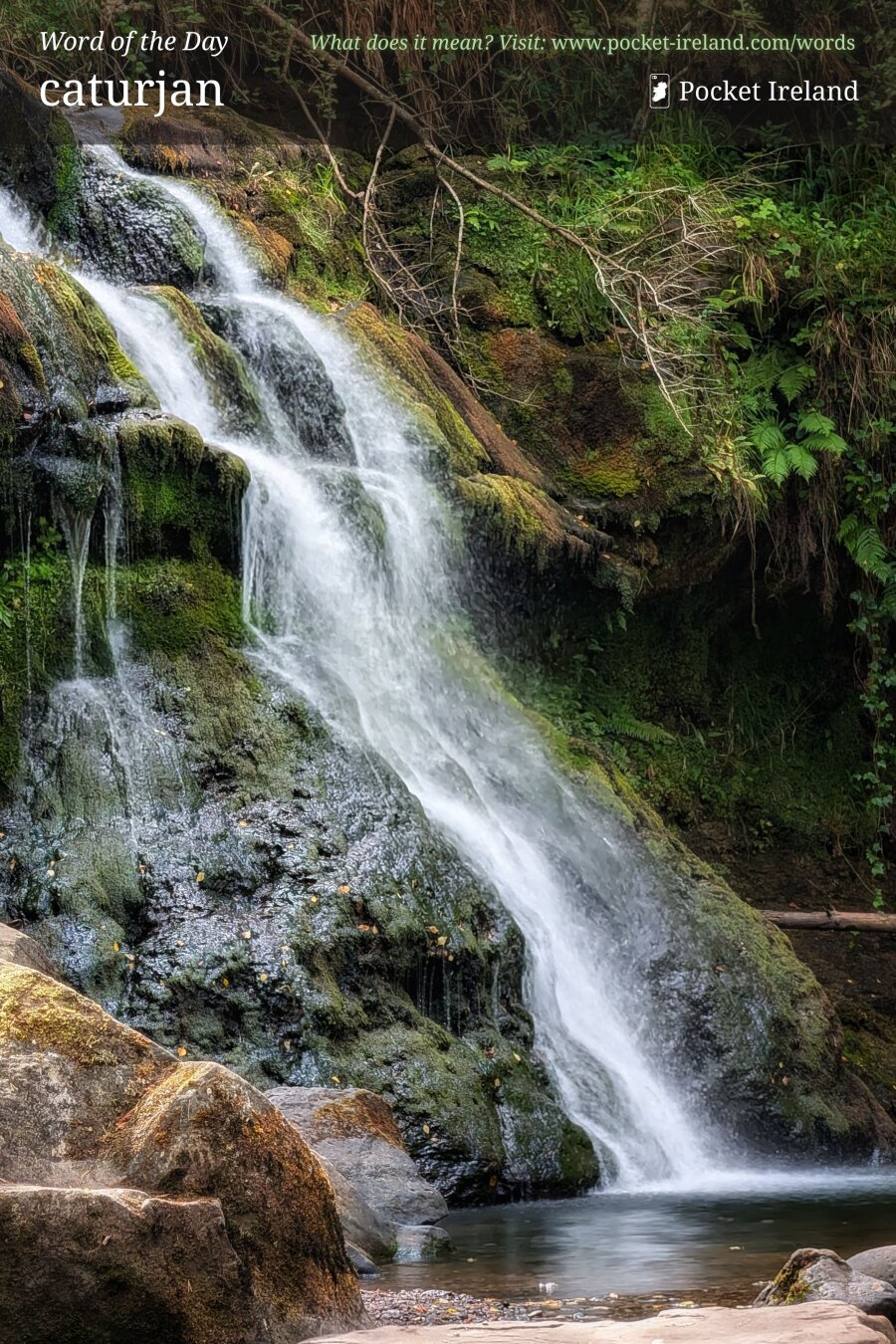 A long-exposure photograph of a cascading waterfall pouring down dark, craggy rock faces blanketed in emerald green moss and ferns. The rushing water appears silky and white as it tumbles diagonally across the rocky slope into a calm, dark pool below. Earthy brown boulders frame the foreground, while wild woodland greenery, tangled roots, and overhanging branches shade the top of the fall, creating a tranquil and secluded atmosphere.