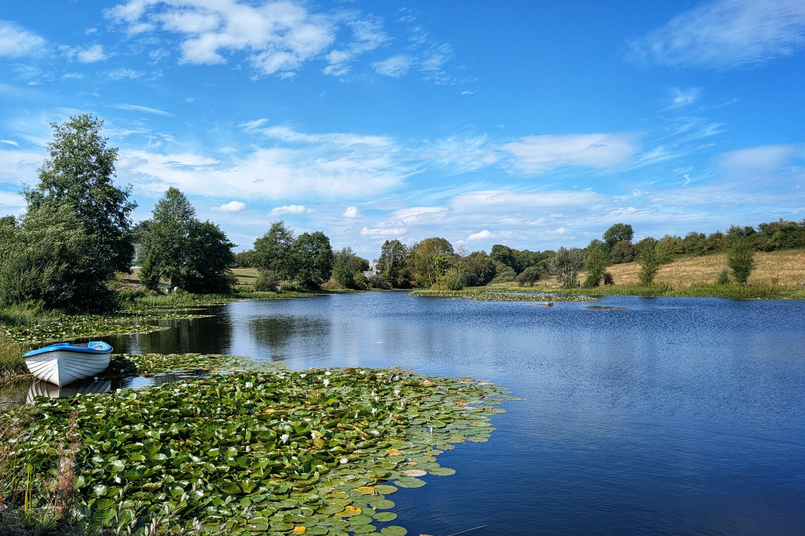 A tranquil wide landscape showing a calm, deep blue lake under a bright summer sky dotted with soft white clouds. In the foreground, vibrant green lily pads dotted with delicate white flowers blanket the left side of the water, surrounding a small white rowing boat moored near the grassy bank. Across the water, lush green woodland and sunlit rolling fields line the horizon, reflecting gently on the clear blue surface.