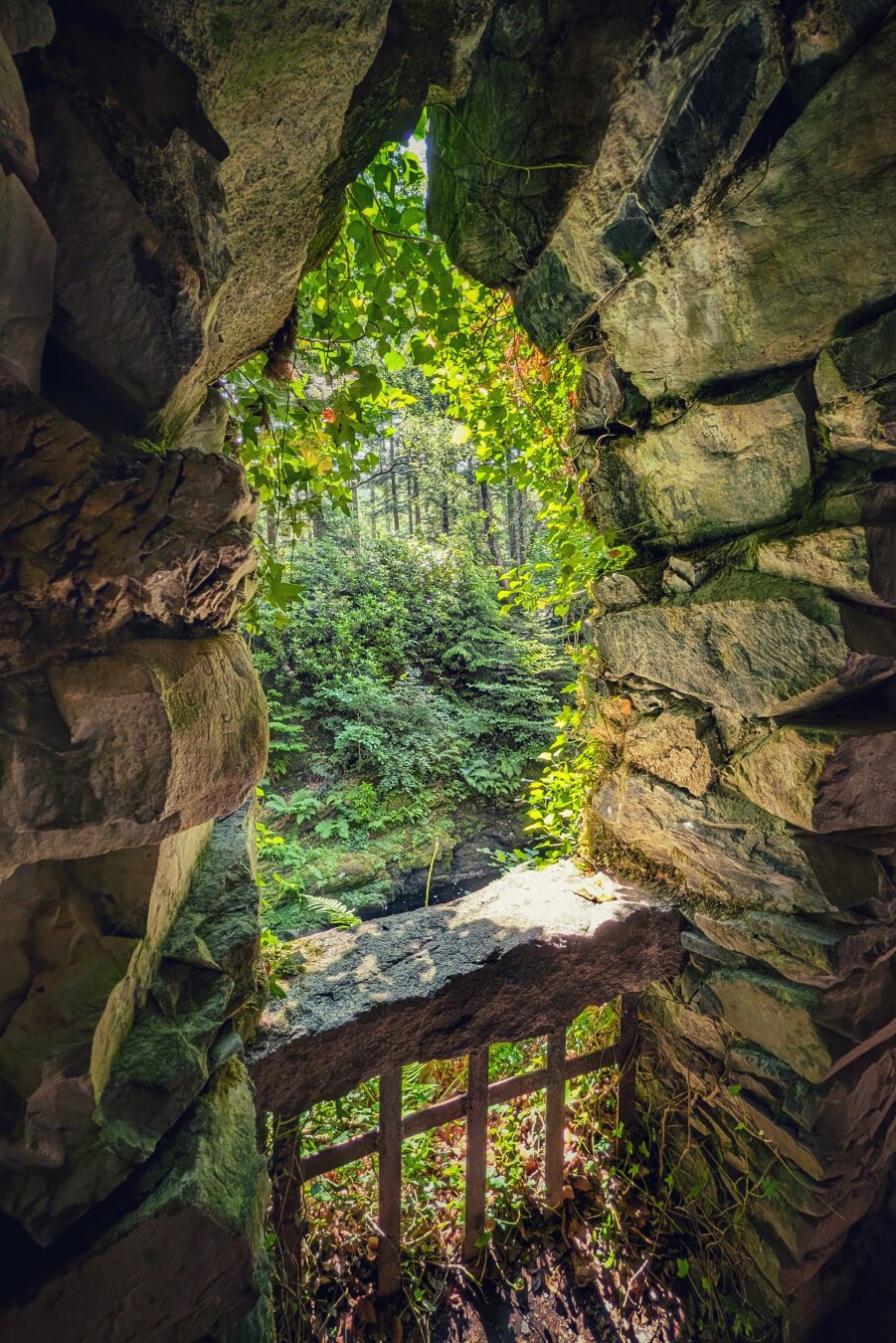 A view looking out from inside the dark stone room of the Hermitage at Tollymore Forest Park, through a ruined arched window. The window opening is framed by thick green ivy leaves with sunlight filtering through them. Dark, rusty iron bars cross the lower portion of the window. Through the opening, a bright, lush green forest with dense foliage and trees is visible, with a glimpse of the Shimna River flowing below. The contrast of dark stone and sunlit wilderness creates a peaceful mood.