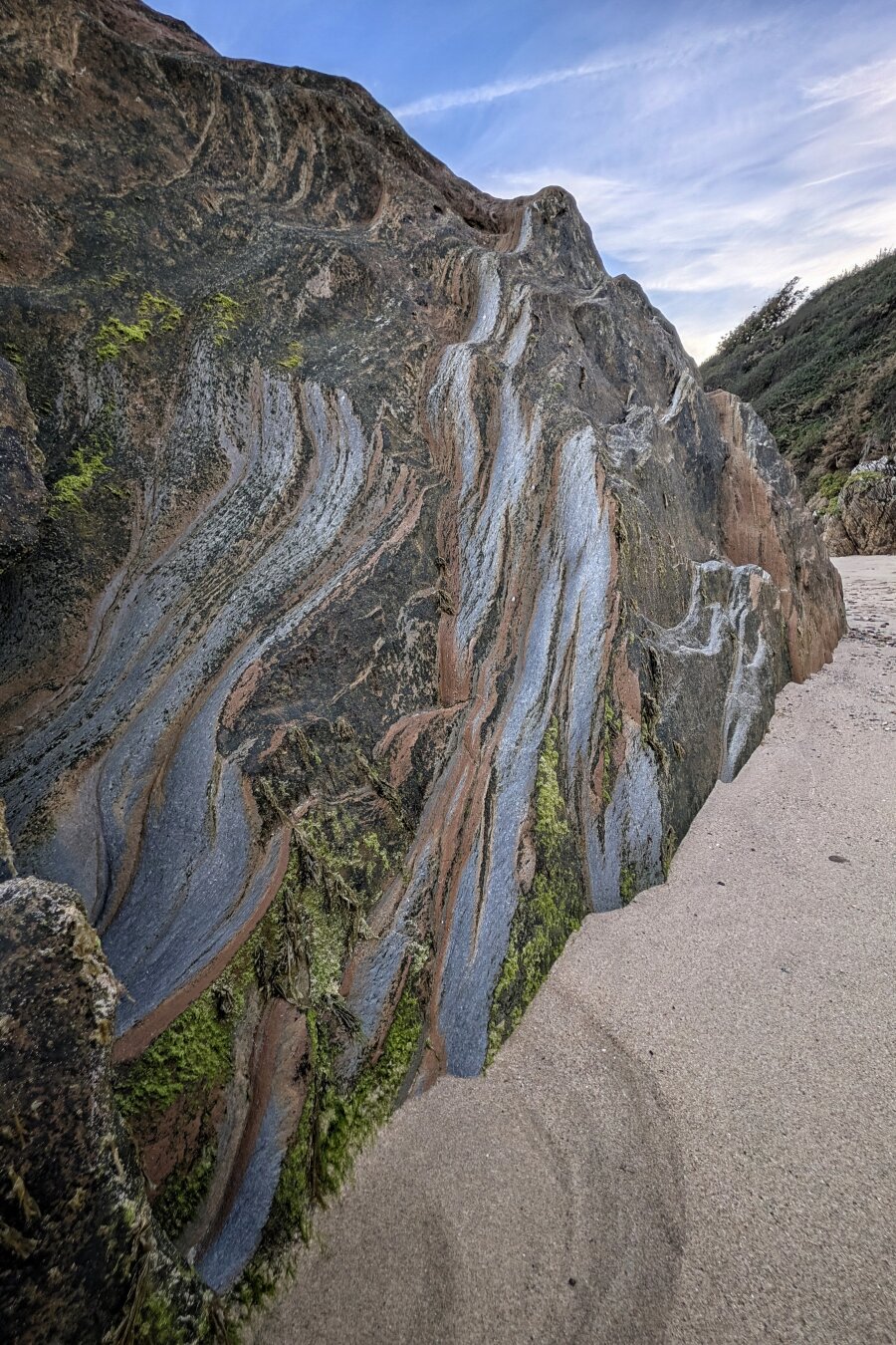 A close-up vertical shot of a dramatic, wave-sculpted rock face jutting out from fine, pale sand on a quiet beach. The geological stone features swirling, vertical ribbons in shades of silvery-grey, soft slate, and rich terracotta-red, accented by patches of vibrant green moss tucked into the crevices. Soft evening light grazes the textured surface, highlighting its weathered folds and grooves against a gentle blue sky with wispy white clouds overhead.