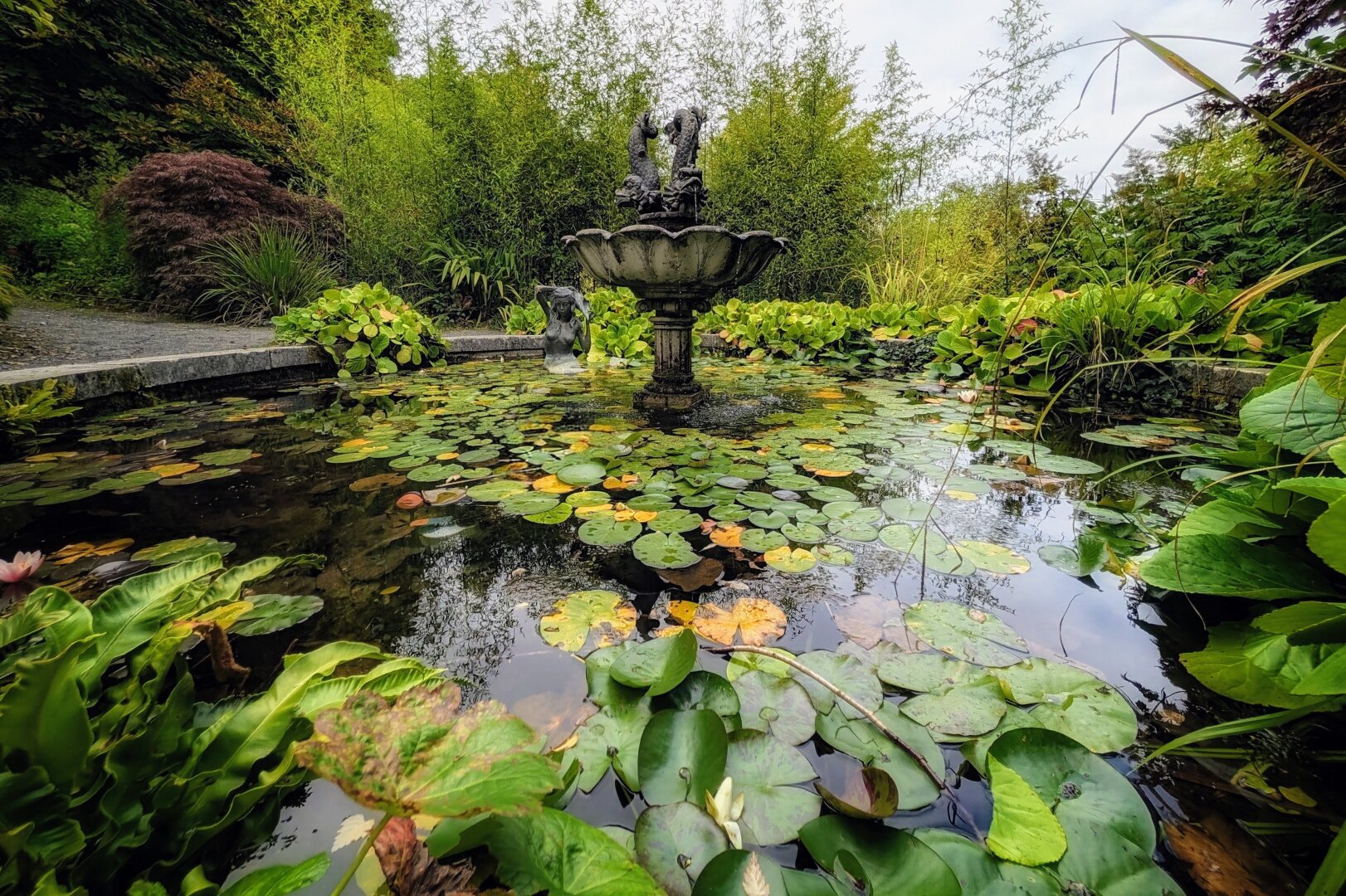 A wide shot of a stone basin pond filled with floating lily pads in various shades of deep green and golden yellow. In the centre of the pool, a weathered dark stone fountain rises with an ornamental pedestal, surrounded by tall bamboo stalks, shrubs, and lush woodland foliage. Natural daylight illuminates the garden, casting soft reflections and creating a quiet, atmospheric garden sanctuary.
