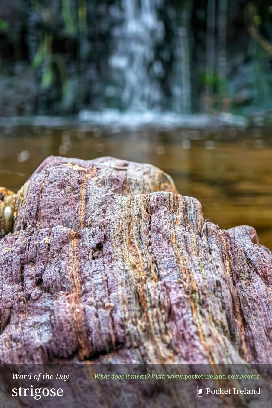 A sharp close-up of a weathered, textured rock displaying striated bands of dusky purple, russet, and ochre. The craggy stone sits in the foreground beside a calm, amber-tinted pool of water. In the soft, blurred background, a gentle waterfall cascades down dark woodland rocks, creating an intimate, serene natural setting.
