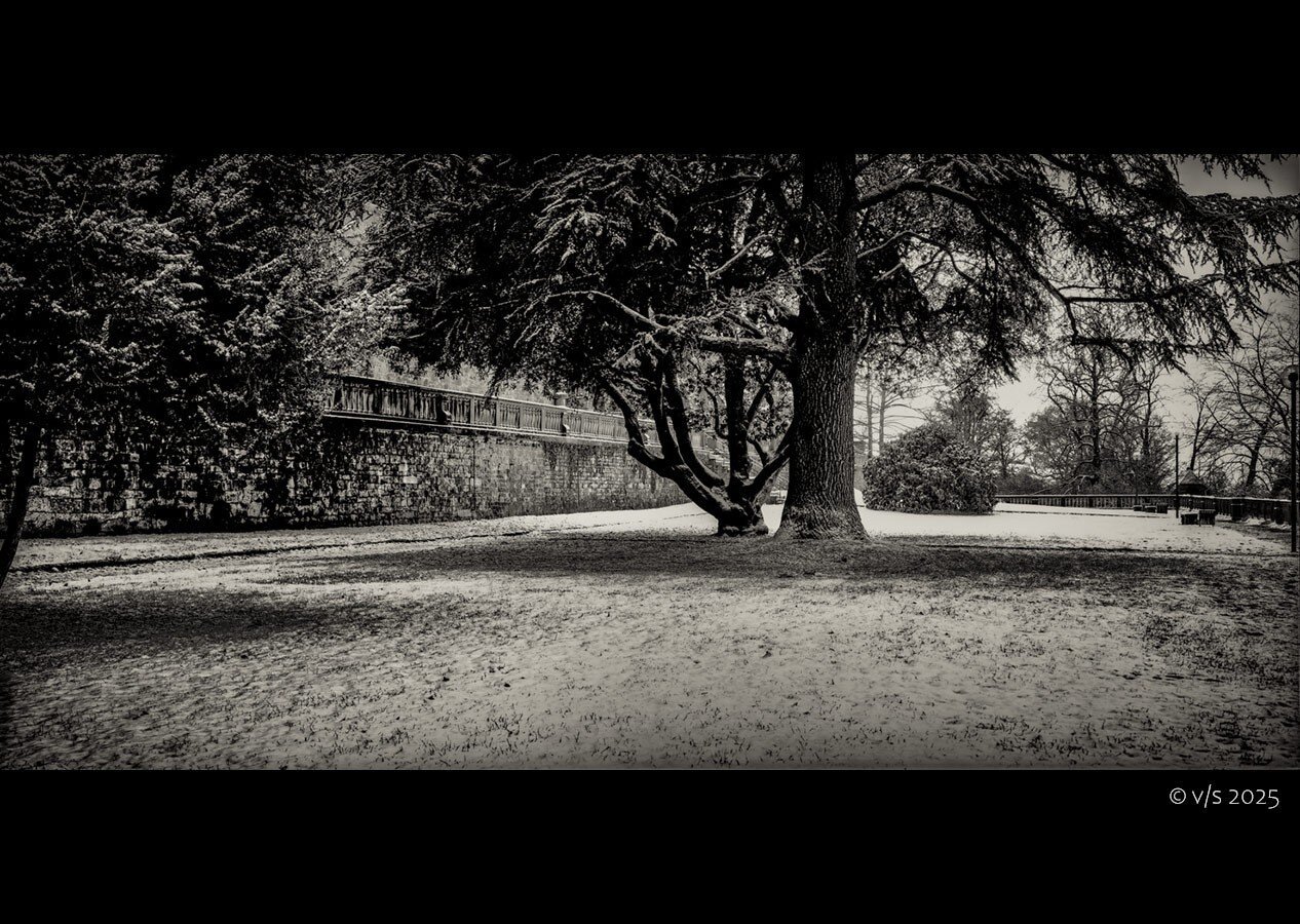 Heidelberger Schlosspark im Winter | Winter at Heidelberg castle