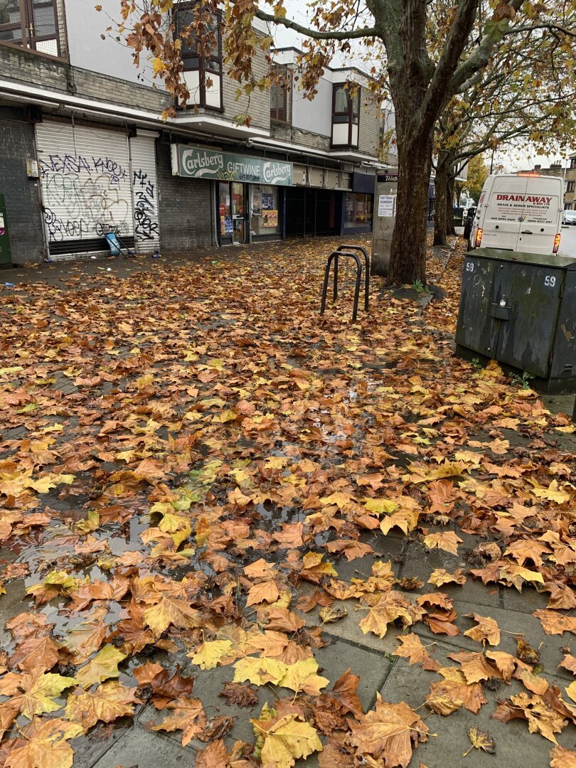 Street with a sea of autumn leaves