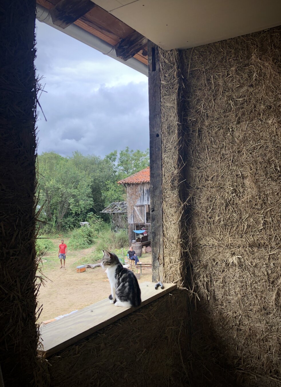 Baby cat at the window of a straw and mud house, she enjoys the view of the garden in which a friend is sitting smoking and another one passing by