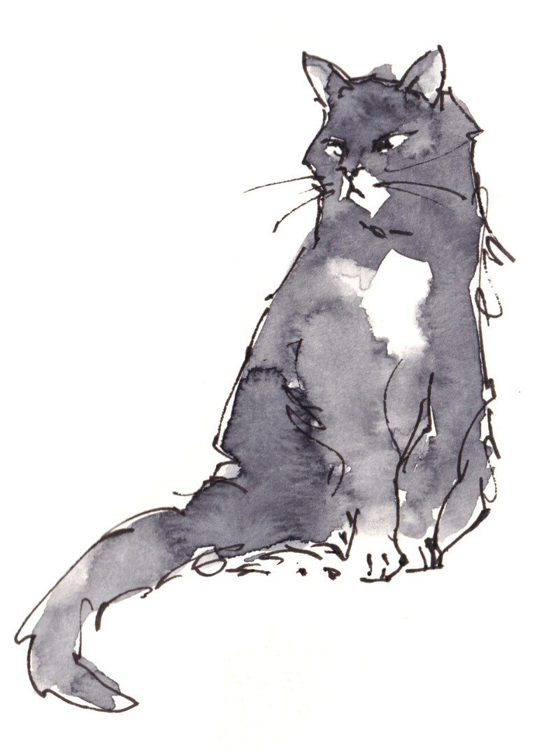 A cat sitting. Black and white watercolor and line art.