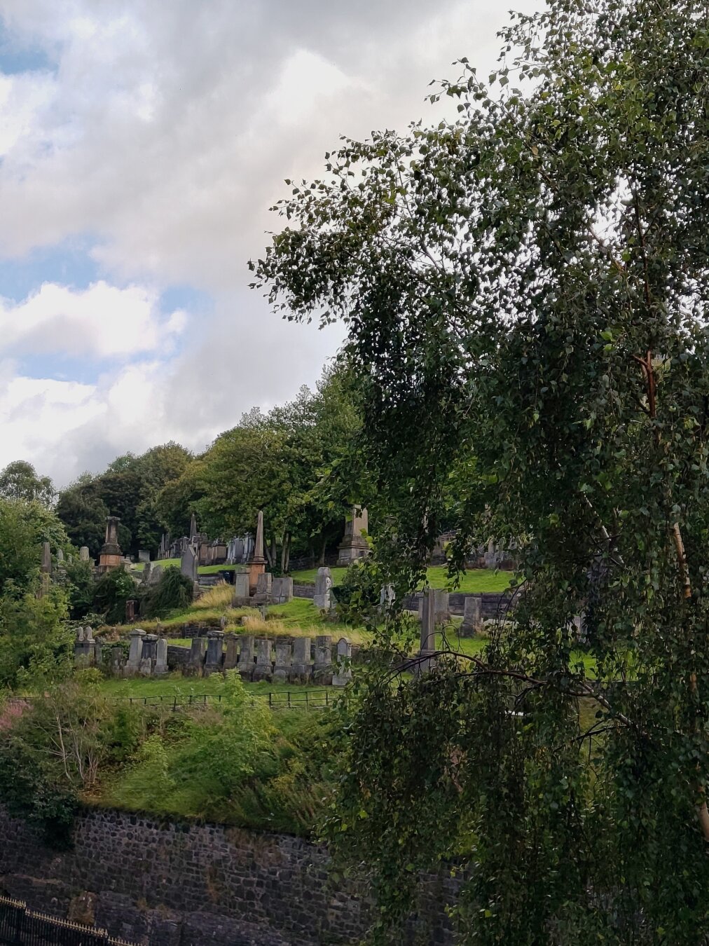 Glasgow necropolis view from sighs bridge. Hill with victorian gravestones