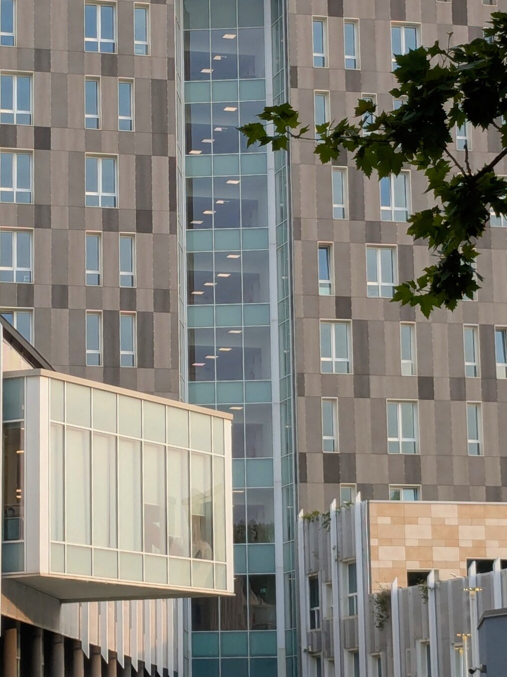 Geometric architecture with green branch coming from the right