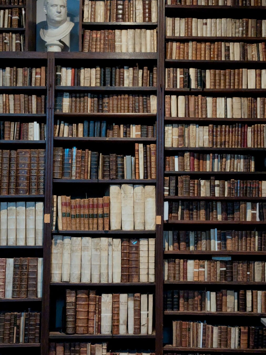 bookshelves with hundreds years old books and a Roman bust