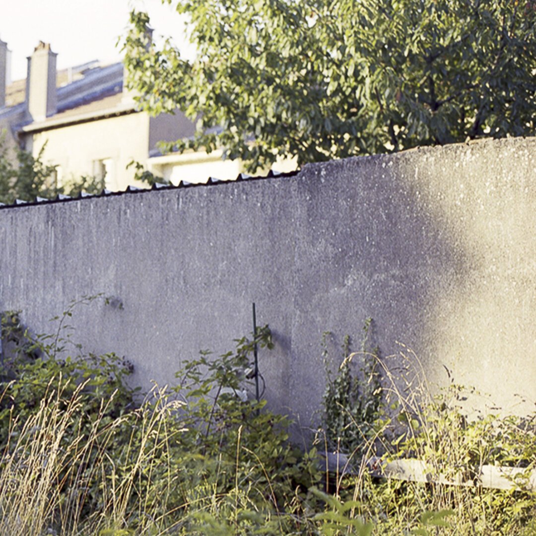 Un jardin avec de hautes herbes, au deuxième plan un mur en béton, entre ombre et soleil, le traverse.