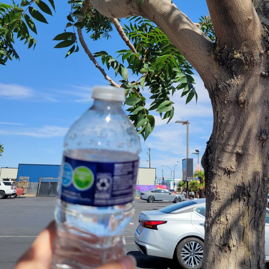 A hand holding a plastic water bottle in the foreground, with a large tree trunk and green foliage visible to the right. In the background, there's a parking lot with white cars, industrial buildings, and a clear blue sky with some wispy clouds