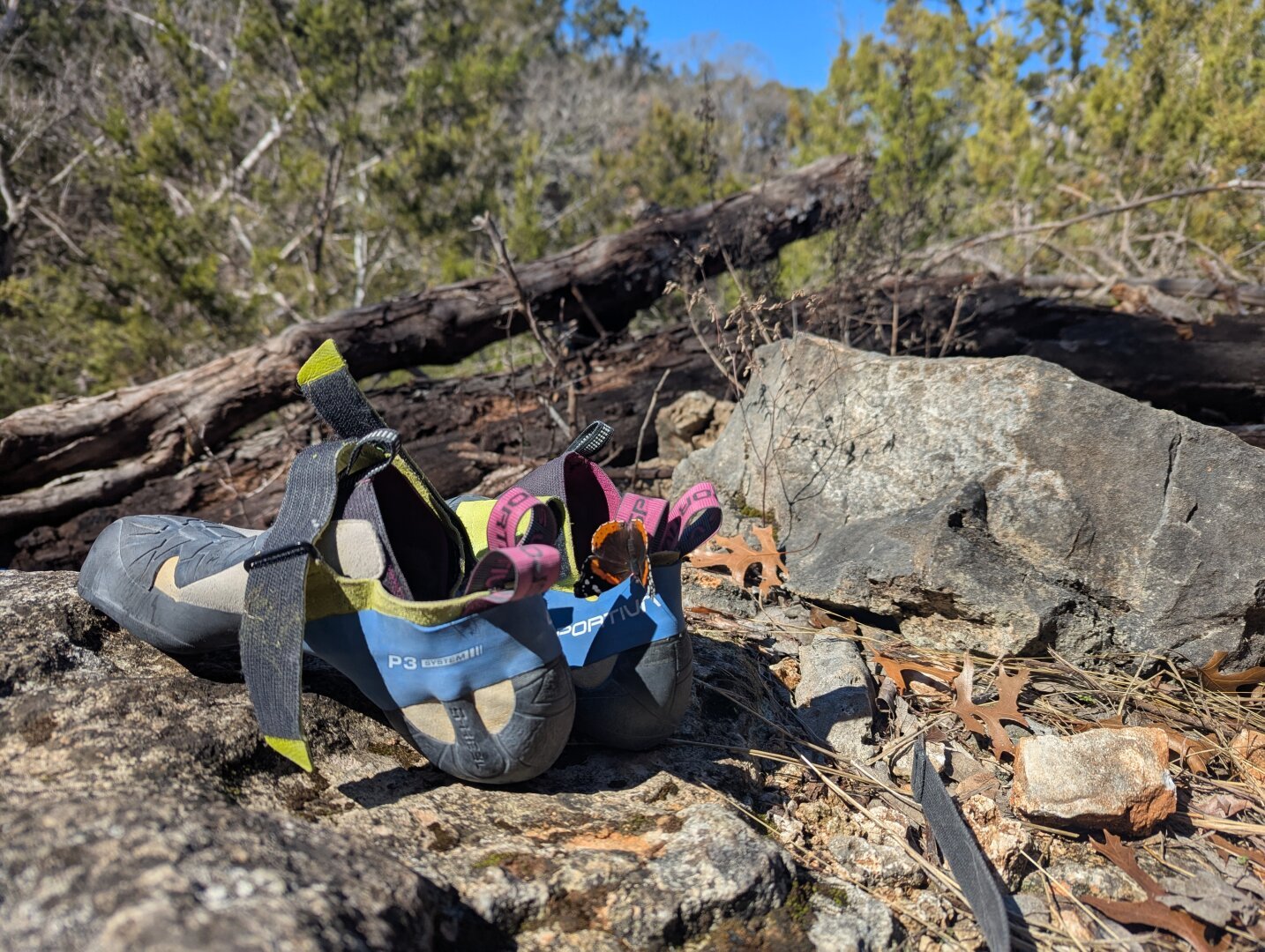 A photo of climbing shoes on a rock in the woods. A butterfly has landed on the shoes.