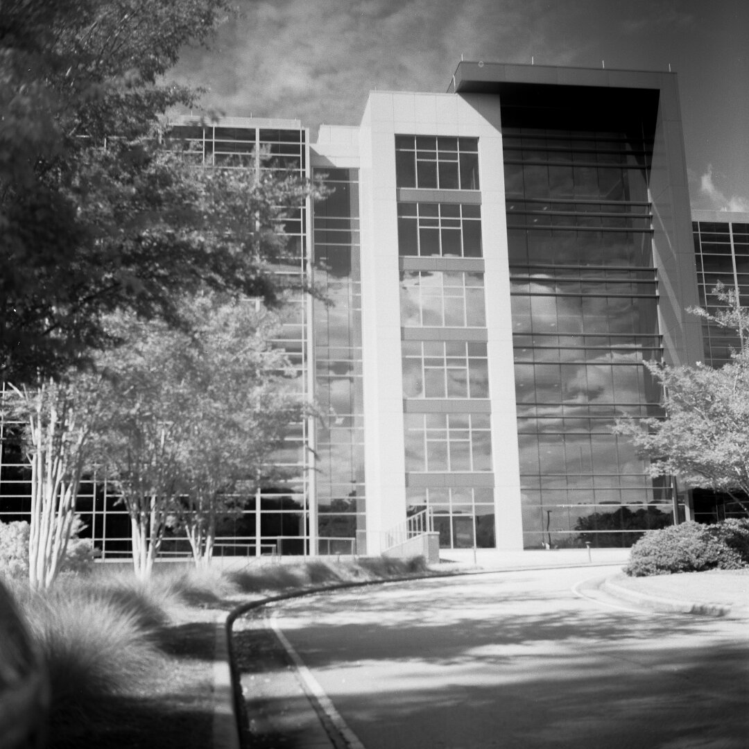 Six story modern office building, contrasting light and dark vertical columns, entrance road with trees