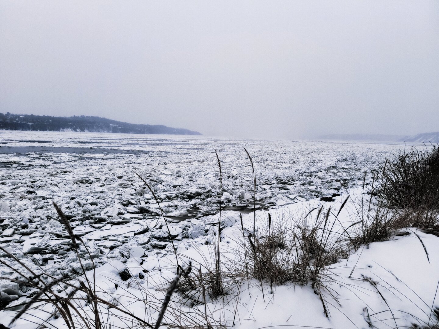 Vista del San Lorenzo que se extiende, lleno de formas de hielo flotando, hacia el suroeste. Imagen tomada cerca del puente de Québec una mañana nevada y con niebla.