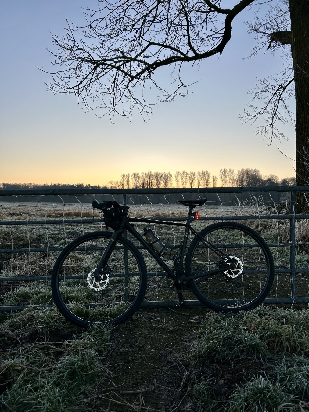 Bild 1: Ein schwarzes Gravelbike lehnt an einem Metallzaun auf einem frostigen Feldweg. Im Hintergrund ist eine Baumreihe in der Dämmerung zu sehen, während die Sonne hinter dem Horizont aufgeht und den Himmel in sanfte Blautöne taucht. Äste eines Baums ragen von oben in das Bild hinein.