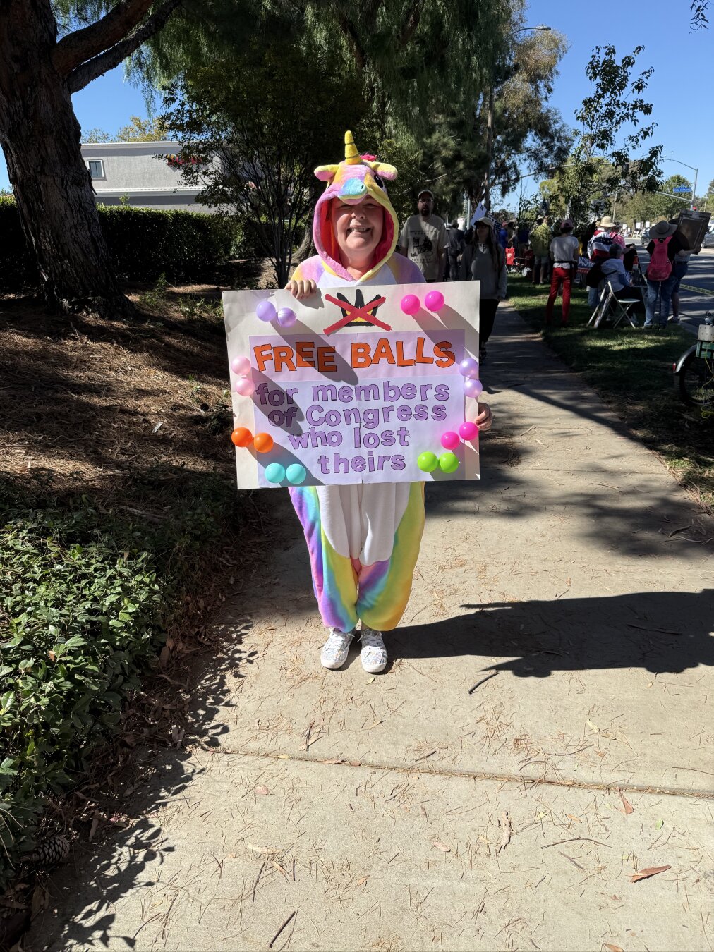 A “free balls for members of Congress who lost theirs” sign