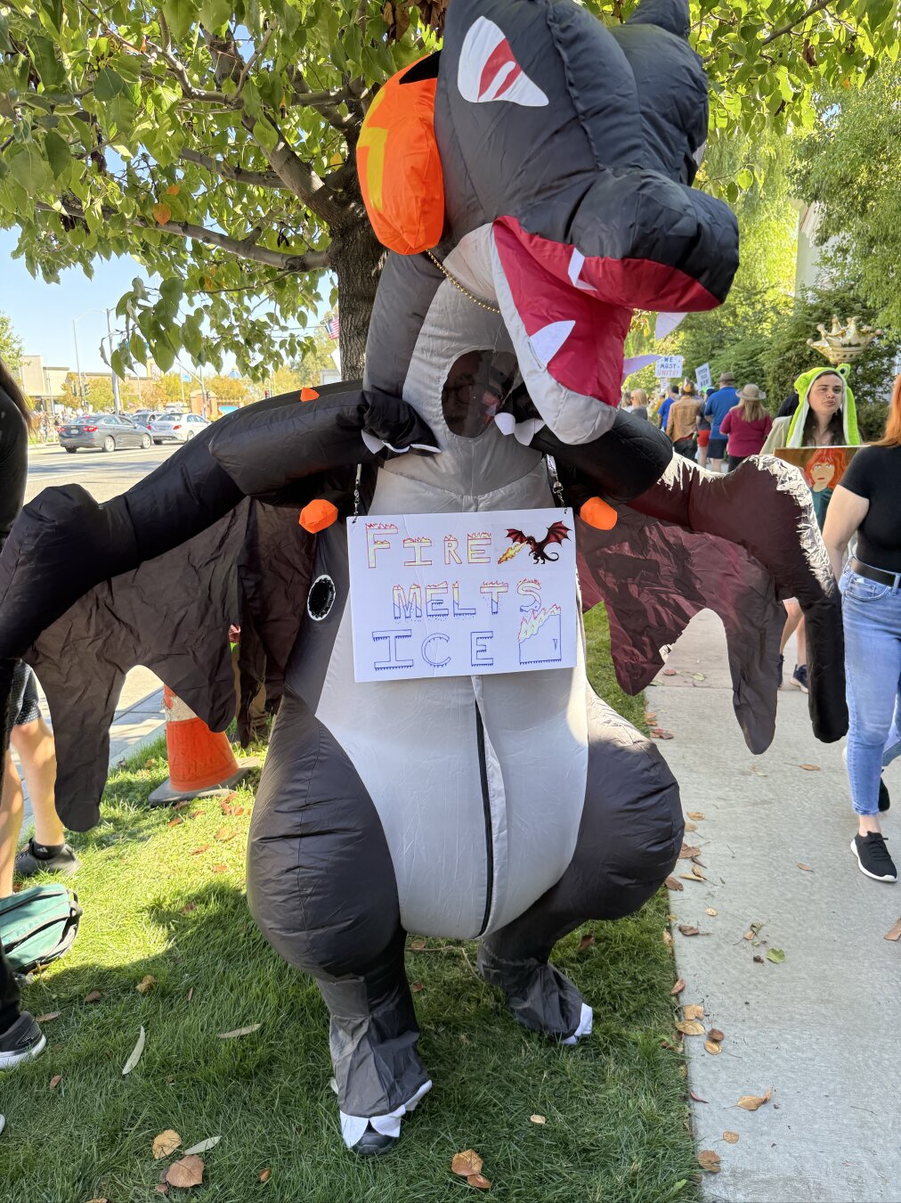 A dragon holding a “Fire melts ICE” sign
