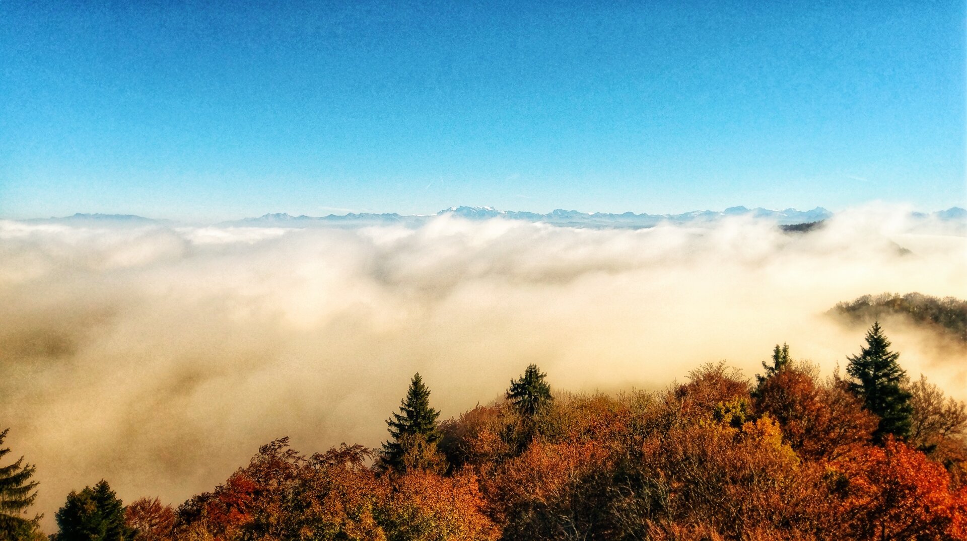 Photo of the view from Albishorn, Switzerland