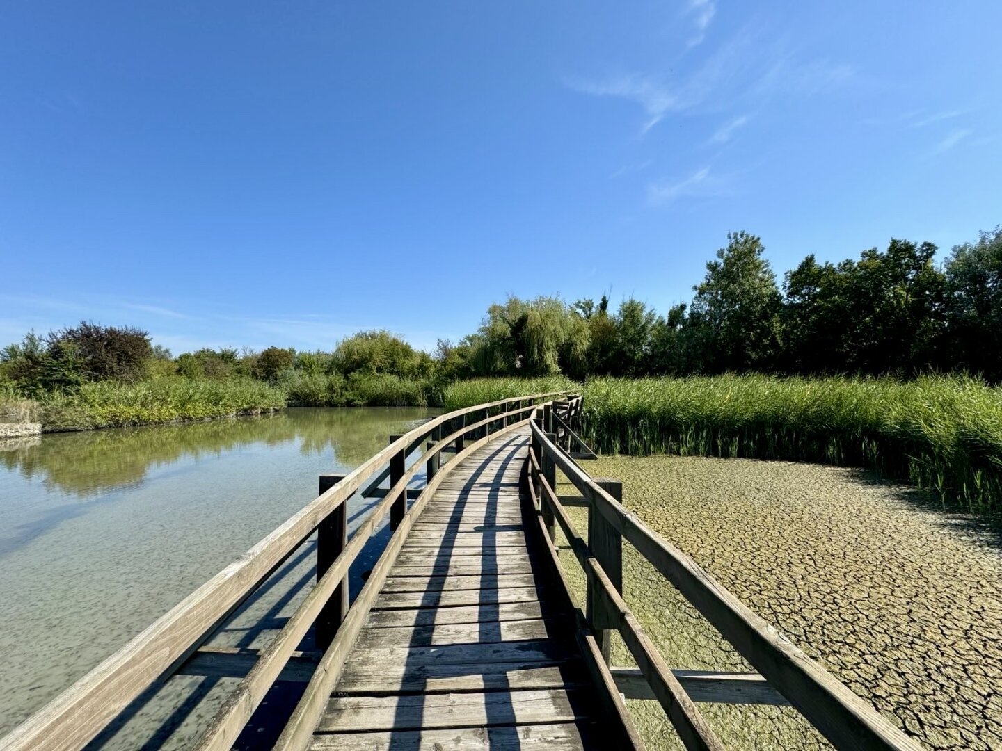 Photo of Nature Reserve Valle Canal Novi in Marano Lagunare, Italy