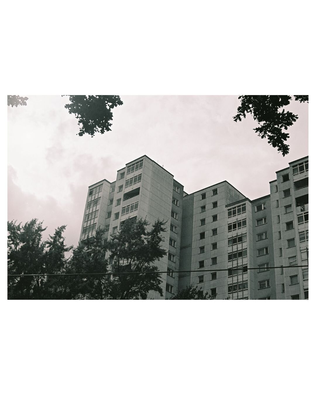 Black and white photo showing a panel construction of a housing estate, a few branches crossing into the frame, a caternary is cutting horizontaly through the low side of the photo